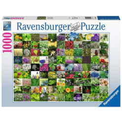 Ravensburger 99 Kräuter Und Gewürze Bunt