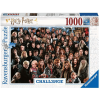 Ravensburger Challenge Harry Potter Bunt