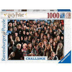 Ravensburger Challenge Harry Potter Bunt