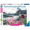 Ravensburger Reine, Lofoten, Norwegen Bunt