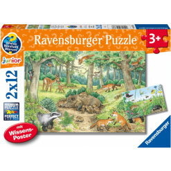 Ravensburger Wieso? Weshalb? Warum? Tiere Im Wald Und Auf Der Wiese