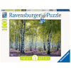 Ravensburger Birkenwald Bunt 1 Ravensburger Birkenwald Bunt -Kinderspielzeug Geschäft ravensburger birkenwald bunt a385977