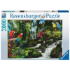 Ravensburger Bunte Papageien Im Dschungel Bunt