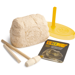 JURASSICWO RMS Jurassic World Dominion Dino Schädel Ausgrabung