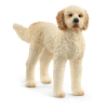 Schleich® Goldendoodle, 13939