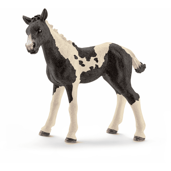 Schleich® Pinto Fohlen 13803 3 Schleich® Pinto Fohlen 13803