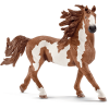 Schleich® Pinto Hengst 13794 -Kinderspielzeug Geschäft schleich pinto hengst 13794 a124413