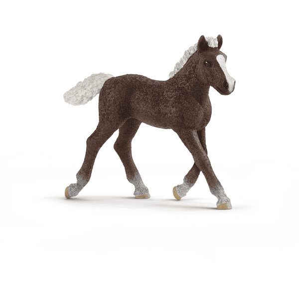 Schleich® Schwarzwälder Fohlen 13899 3 Schleich® Schwarzwälder Fohlen 13899