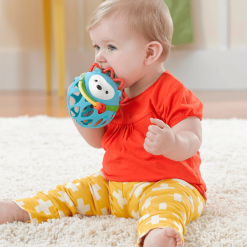 SkipHop Skip Hop Rasselball Igel Mit Beißring, Türkis