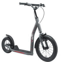 Star Scooter Roller 16 Zoll New Gen Chrom