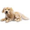 Steiff Andor Golden Retriever, 45 Cm Hellbraun Gespitzt -Kinderspielzeug Geschäft steiff andor golden retriever 45 cm hellbraun gespitzt a219489